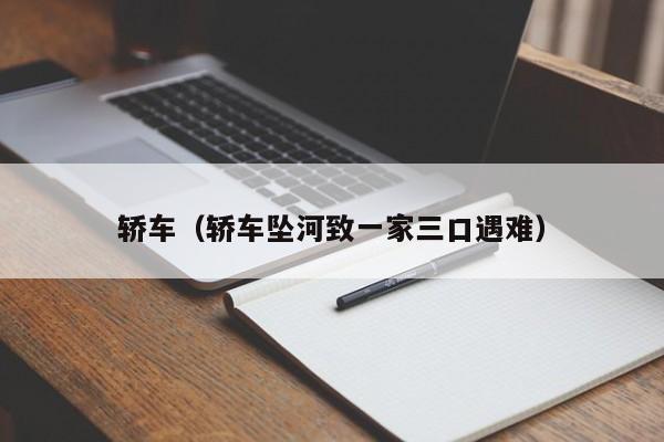 轿车（轿车坠河致一家三口遇难）