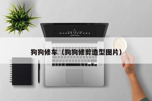 狗狗修车（狗狗修剪造型图片）