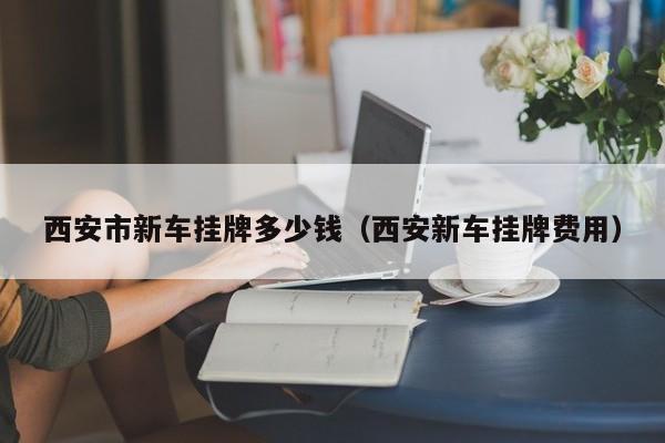 西安市新车挂牌多少钱（西安新车挂牌费用）