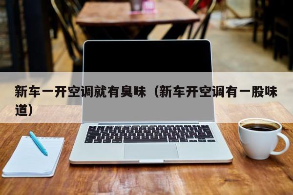 新车一开空调就有臭味（新车开空调有一股味道）