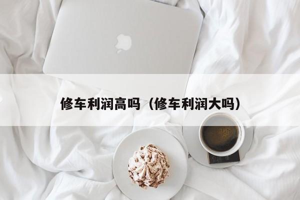 修车利润高吗（修车利润大吗）