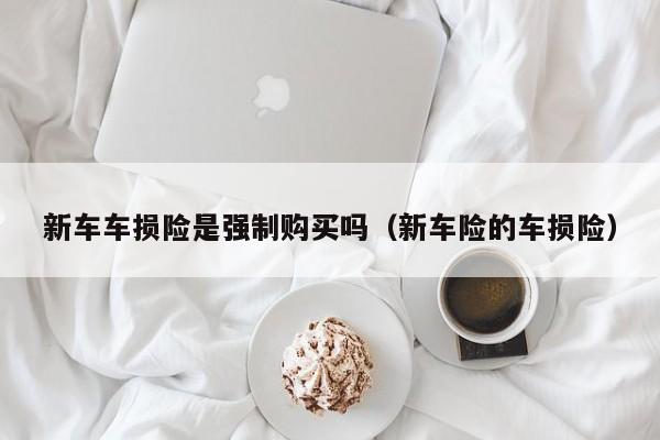 新车车损险是强制购买吗（新车险的车损险）
