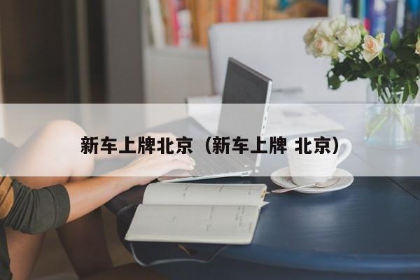 新车上牌北京（新车上牌 北京）
