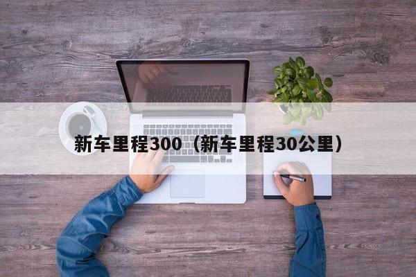 新车里程300（新车里程30公里）