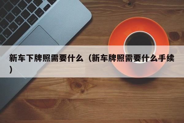 新车下牌照需要什么（新车牌照需要什么手续）