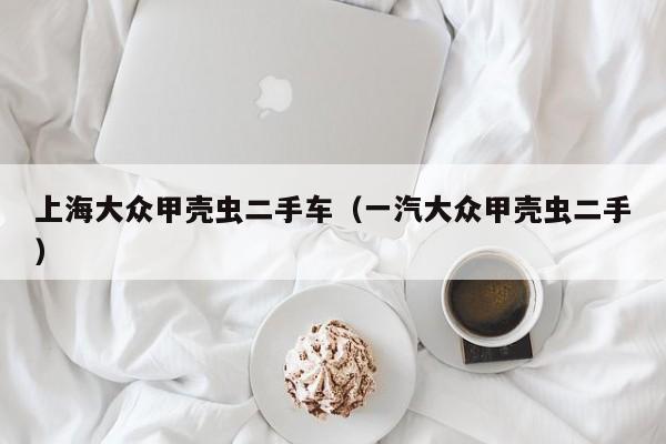 上海大众甲壳虫二手车（一汽大众甲壳虫二手）