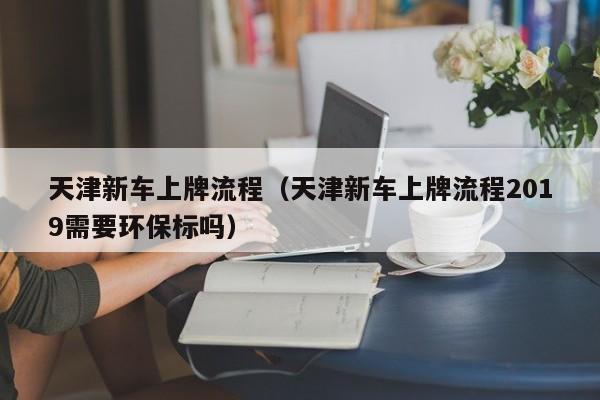 天津新车上牌流程（天津新车上牌流程2019需要环保标吗）