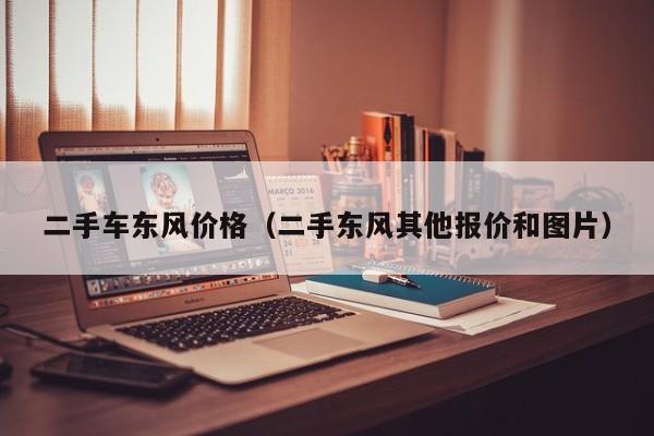 二手车东风价格（二手东风其他报价和图片）