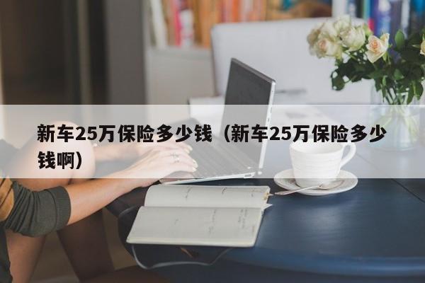 新车25万保险多少钱（新车25万保险多少钱啊）