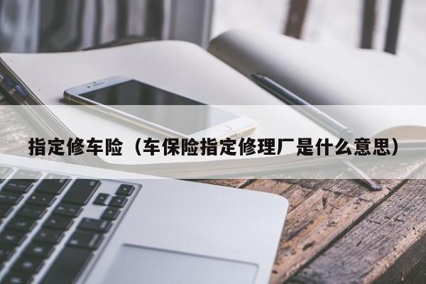 指定修车险（车保险指定修理厂是什么意思）