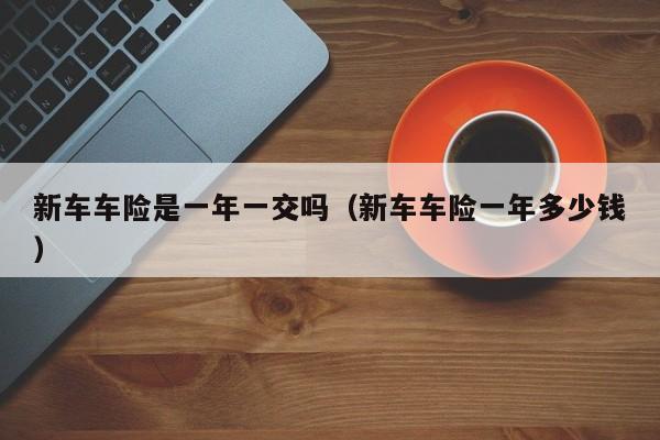 新车车险是一年一交吗（新车车险一年多少钱）