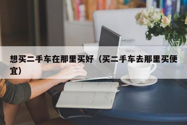 想买二手车在那里买好（买二手车去那里买便宜）