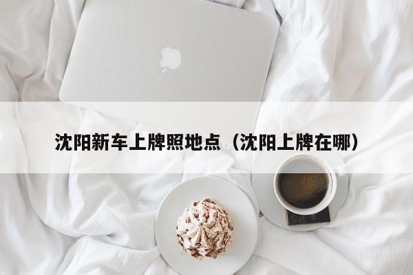 沈阳新车上牌照地点（沈阳上牌在哪）