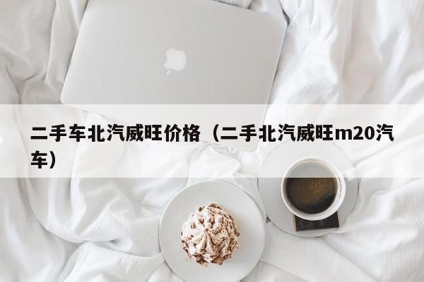 二手车北汽威旺价格（二手北汽威旺m20汽车）