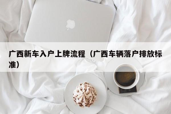 广西新车入户上牌流程（广西车辆落户排放标准）