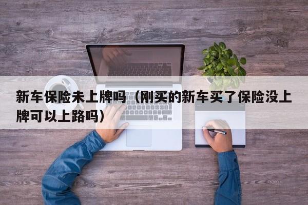 新车保险未上牌吗（刚买的新车买了保险没上牌可以上路吗）