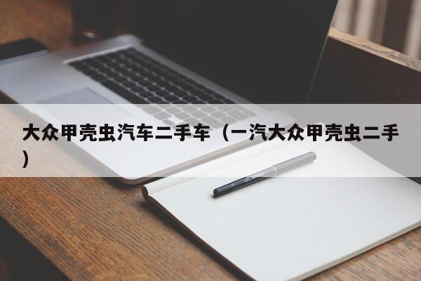 大众甲壳虫汽车二手车（一汽大众甲壳虫二手）