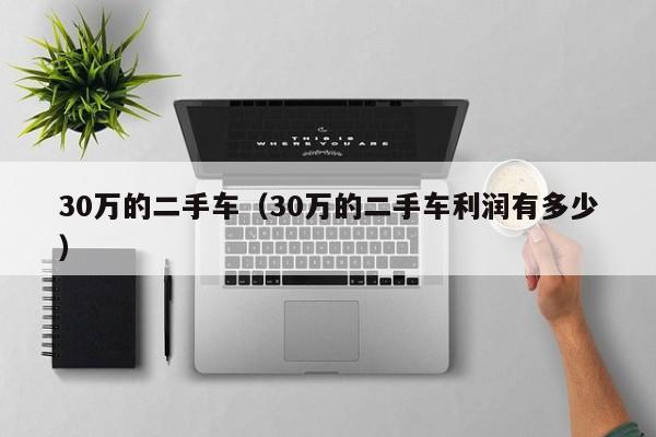 30万的二手车（30万的二手车利润有多少）