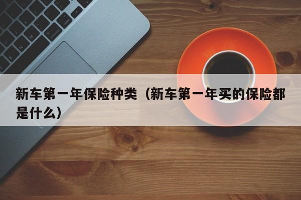 新车第一年保险种类（新车第一年买的保险都是什么）