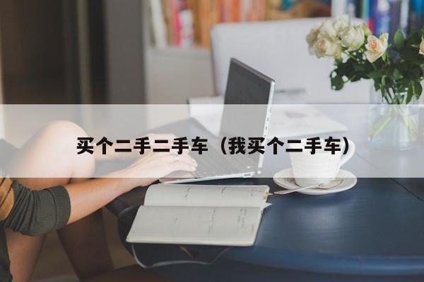买个二手二手车（我买个二手车）