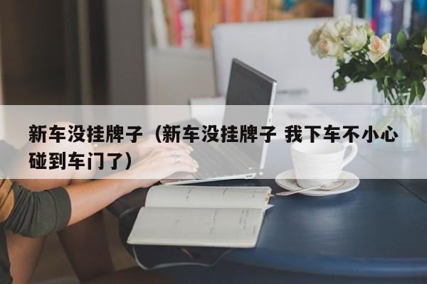 新车没挂牌子（新车没挂牌子 我下车不小心碰到车门了）