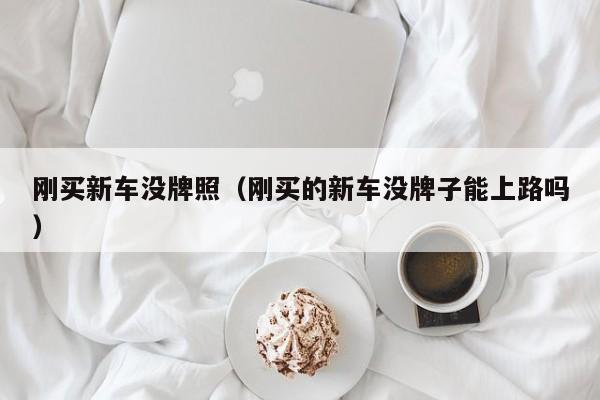 刚买新车没牌照（刚买的新车没牌子能上路吗）