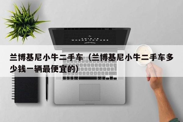 兰博基尼小牛二手车（兰博基尼小牛二手车多少钱一辆最便宜的）