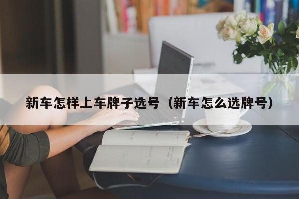 新车怎样上车牌子选号（新车怎么选牌号）
