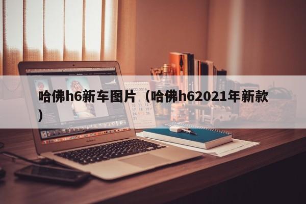 哈佛h6新车图片（哈佛h62021年新款）