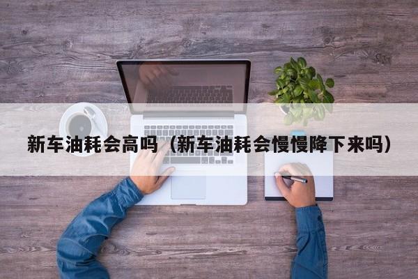 新车油耗会高吗（新车油耗会慢慢降下来吗）