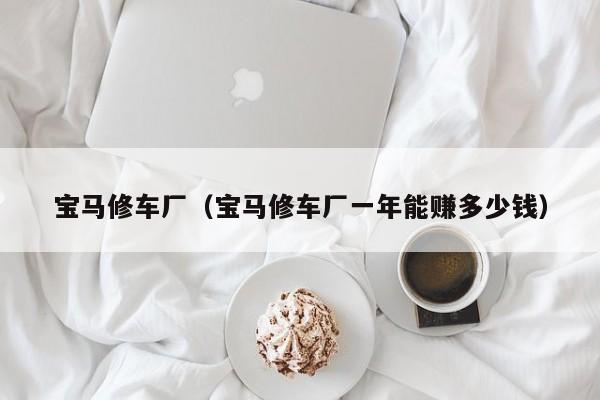 宝马修车厂（宝马修车厂一年能赚多少钱）