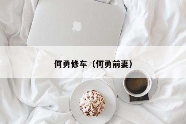 何勇修车（何勇前妻）