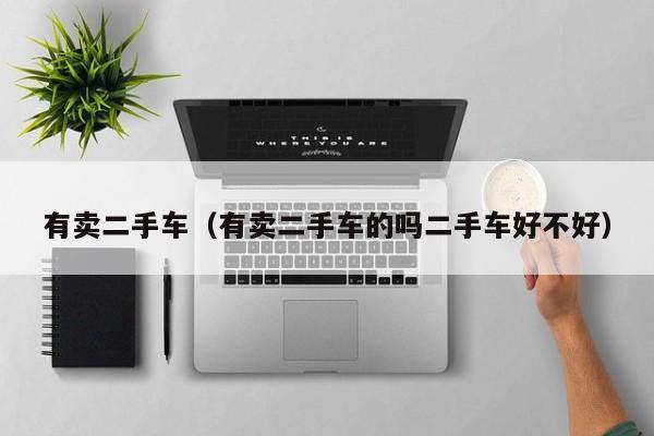 有卖二手车（有卖二手车的吗二手车好不好）