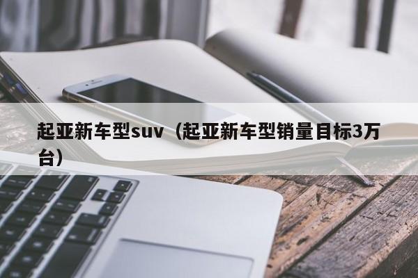起亚新车型suv（起亚新车型销量目标3万台）