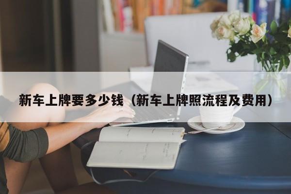 新车上牌要多少钱（新车上牌照流程及费用）