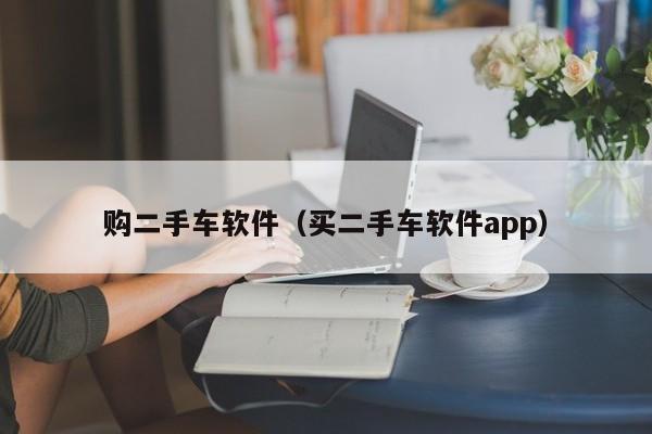 购二手车软件（买二手车软件app）