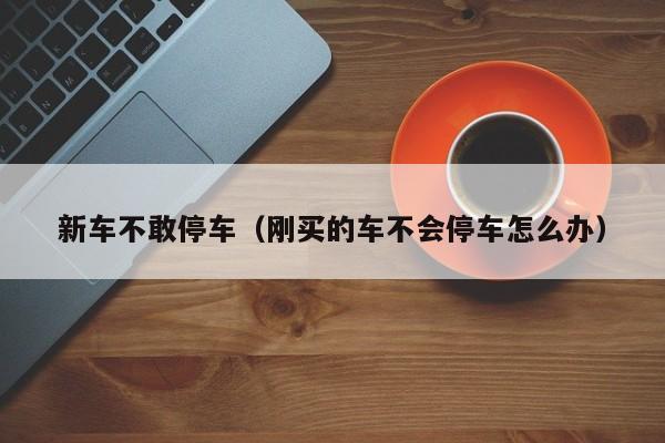 新车不敢停车（刚买的车不会停车怎么办）