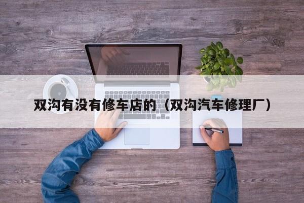 双沟有没有修车店的（双沟汽车修理厂）